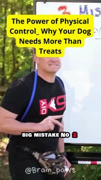 The Power of Physical Control_ Why Your Dog Needs More Than Treats