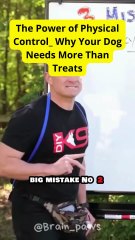 The Power of Physical Control_ Why Your Dog Needs More Than Treats