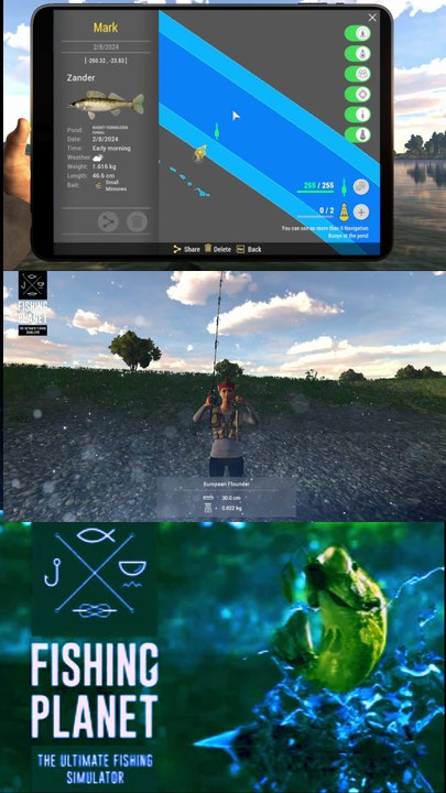 How to catch European Flounder at Ghent Terneuzen Canal | Fishing Planet