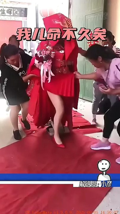Comedy Collection