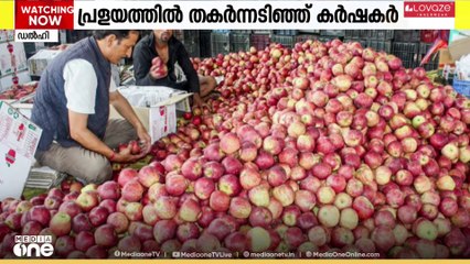 ജമ്മു കശ്‌മീരിലെ പ്രളയത്തിൽ തകർന്നടിഞ്ഞ് ആപ്പിൾ കൃഷി.
