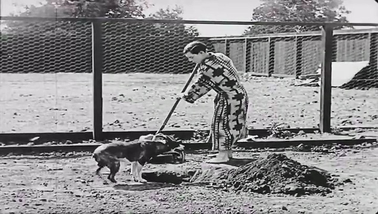 🎬 Buster Keaton – Day Dreams (1922) | Silent Comedy Short 🎭
