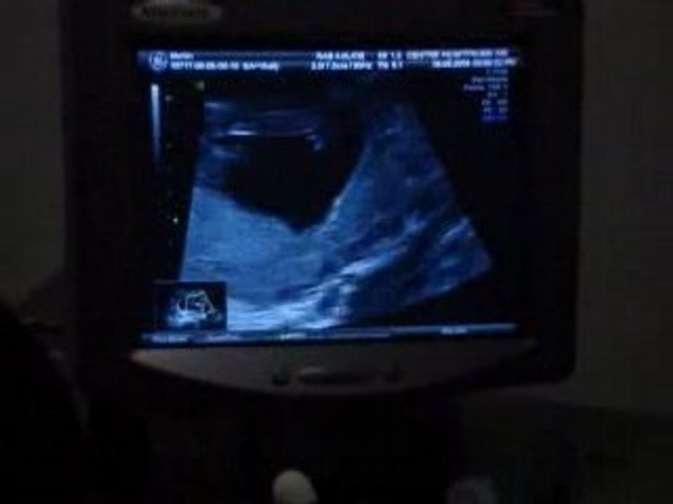 NOTRE FUTURE PRINCESSE