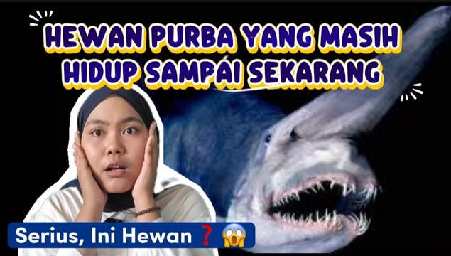 Ini 7 Hewan Purba yang Masih Hidup hingga Sekarang-Serius Ini Hewan?