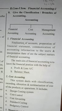 Branches of Accounting