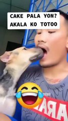 1. 😂 *Funniest Moments Caught on Camera 2025*