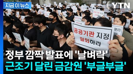 금감원 '엑소더스' 시작되나...정부 발표 후폭풍에 사상 첫 파업 예고 [지금이뉴스] / YTN