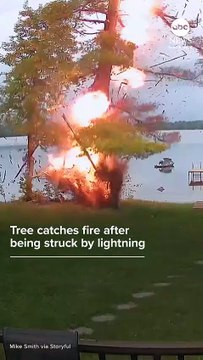 Security camera footage shows a Wisconsin man using lake water to put out a fire on his property after a tree was struck by lightning, setting it ablaze.