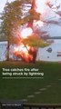 Security camera footage shows a Wisconsin man using lake water to put out a fire on his property after a tree was struck by lightning, setting it ablaze.