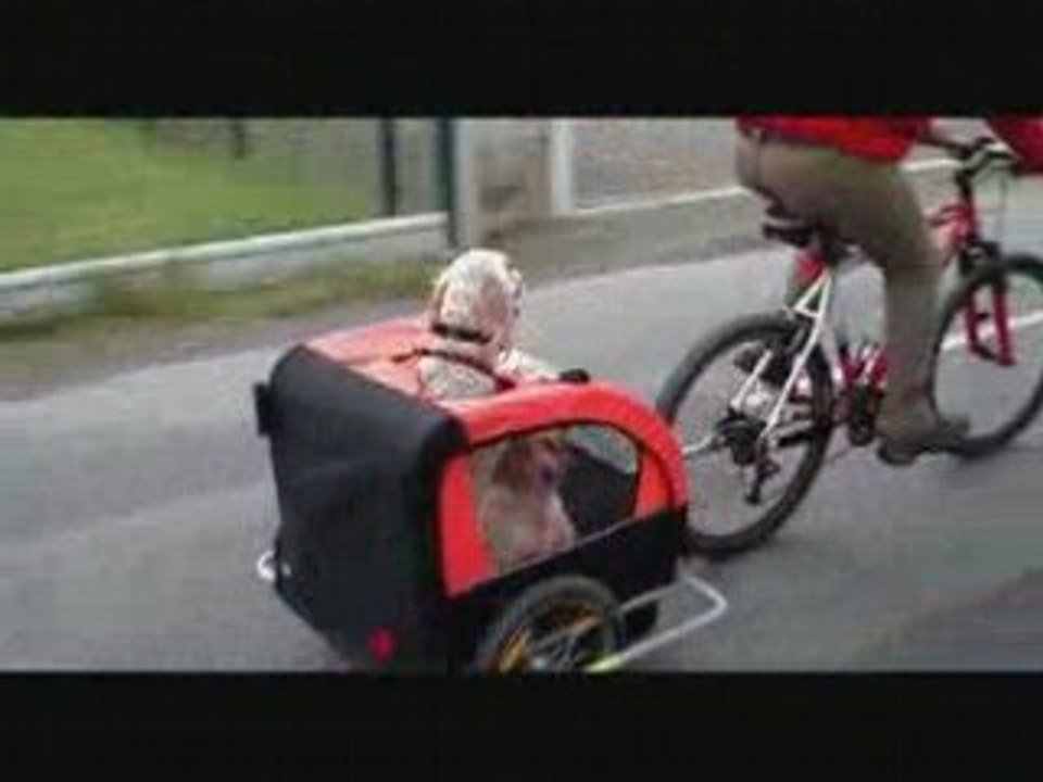 Poupounes on the road again 2