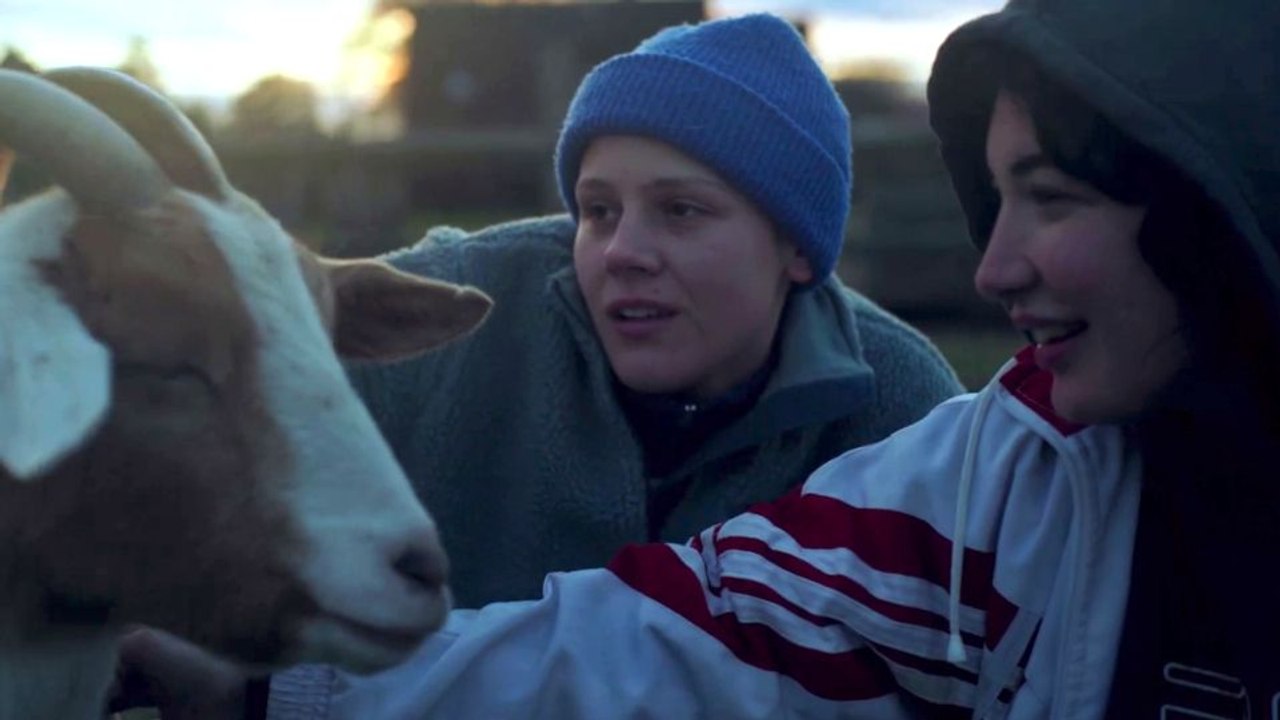 Ninja Motherf*cking Destruction Trailer