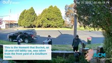Footage of Bucket being taken from a Bourke Street front yard.