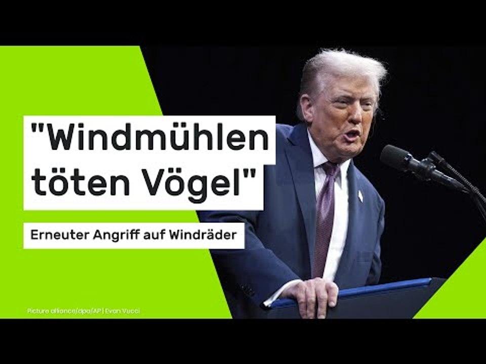 'Windmühlen töten Vögel' - erneuter Angriff auf Windräder