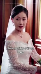 Our Paths Never Crossed Again Full Movies