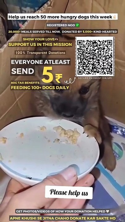 Every 5 Counts!  Your small amount help can make a big help for the stray dogs out there & provide them Good Food & Good Shelter, It's our duty. So you too be a part of this mission, Donate a Little Amount For Them  Support us