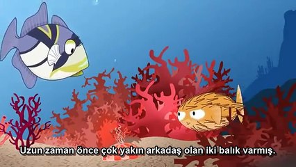 Hayvanlar kendilerini yırtıcılara karşı nasıl korur