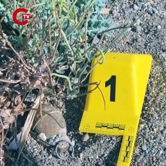 İznik Gölü kıyısında el bombası paniği