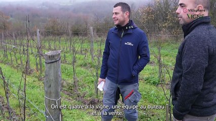 1 an chez mon pépiniériste - A l'écoute des besoins des vignerons pour bien les conseiller - Video 1/4