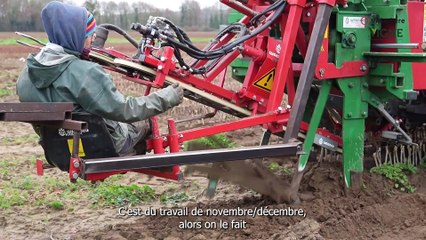 1 an chez mon pépiniériste - L'arrachage de la pépinière et le tri des plants - Vidéo 4/4