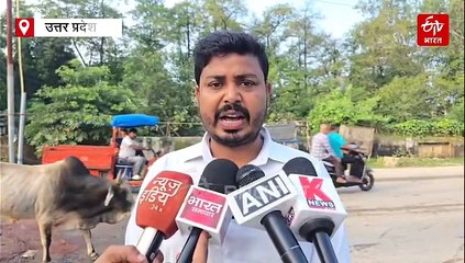 राहुल गांधी का रायबरेली दौरा, विरोध-प्रदर्शन; यूपी के मंत्री दिनेश सिंह ने वापस जाओ के नारे लगाए, राहुल बोले- भाजपाई डिस्टर्ब