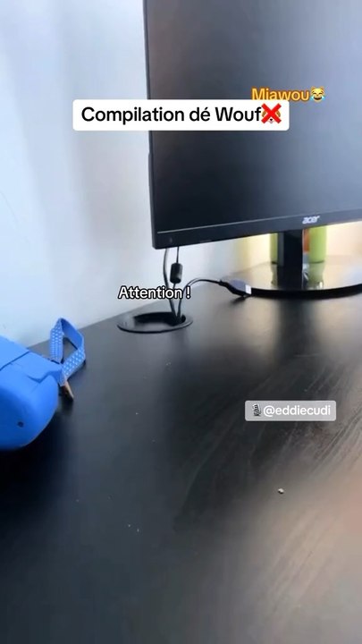 T’as préféré quel doublage ?😹