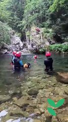 Pensée positive : le pouvoir des mots pour changer votre vie !