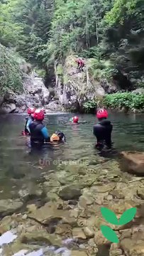 Pensée positive : le pouvoir des mots pour changer votre vie !