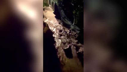 Esondato torrente a Blevio, nel Comasco. La furia delle acque ripresa in un video