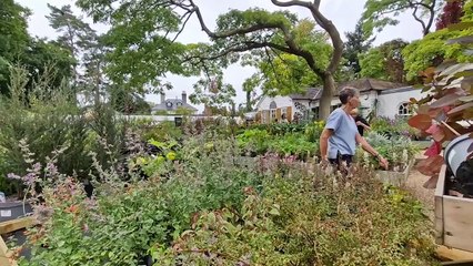 Views at Nymans National Trust property in early September
