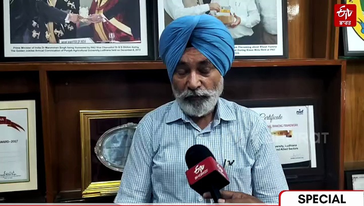 ਕੀ ਮਹਿੰਗੇ ਹੋ ਜਾਣਗੇ ਚੌਲ, ਹੜ੍ਹ ਨੇ ਡੋਬੀ ਝੋਨੇ ਦੀ ਫ਼ਸਲ, ਹੋਰ ਫ਼ਸਲਾਂ 'ਤੇ ਵੀ ਪਈ ਮਾਰ