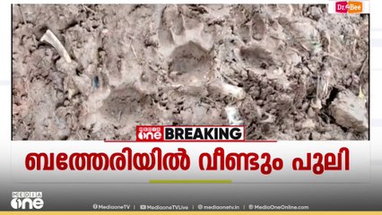 ബത്തേരിയിൽ വീണ്ടും പുലിയുടെ ആക്രമണം: ഇന്ന് പുലർച്ചെ വളർത്തുനായയെ കൊന്നു