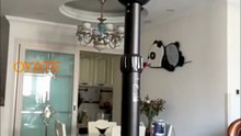 1000w carbon fiber heat lamps