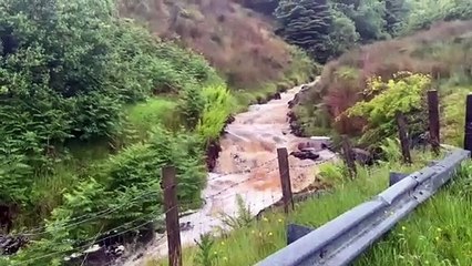 Heavy rainfall makes river almost burst its banks