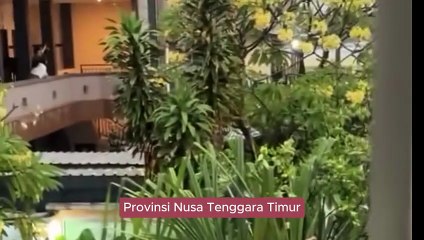 Enam tewas dan 5 dalam pencarian banjing bandana di Provinsi Nusa Tenggara Timur, Senin, 8 September 2025 di di Provinsi Bali, Selasa malam, 9 September 2025, menurut Kepala BNPB, Suharyanto