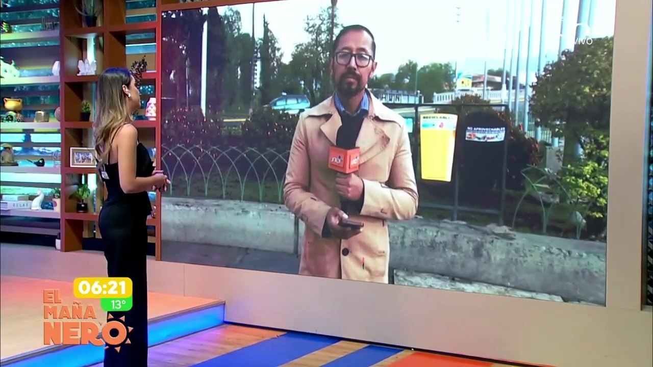 Un pino centenario consumido por las llamas tras festejos en la Plaza de las Banderas