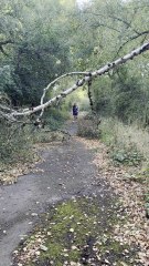Wolves fan Jake Butler on the move as he dribbles from Newcastle to Wembley for charity