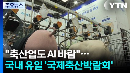 "축산업도 AI 바람"...국내 유일 국제축산박람회 개최 / YTN