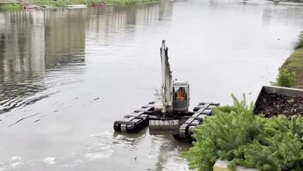 Firenze, un mezzo anfibio speciale per ripulire gli argini dell'Arno in centro: il video