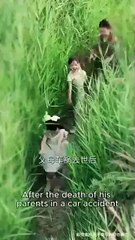 The Late Apology Of My Sisters / Sonny Please Marry Me