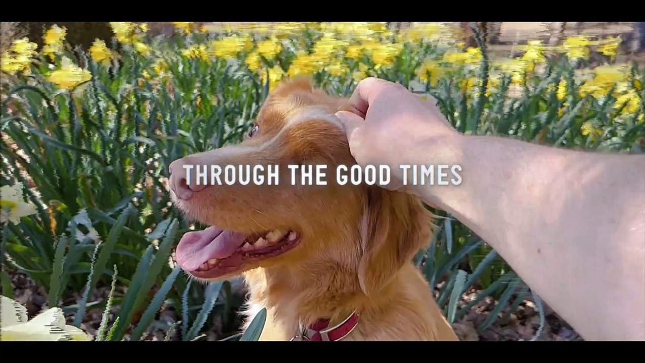 Good Boy Trailer
