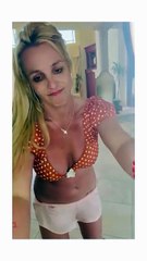 Μπρίτνεϊ Σπίαρς: Ανησυχία για την υγεία της – Το σπίτι της είναι γεμάτο με περιττώματα σκύλων