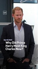 Why Did Prince Harry Meet King Charles Now?