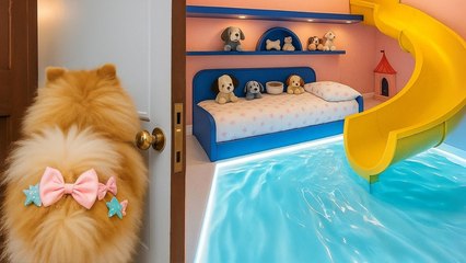 Du chaos à la magie : le chiot trouve enfin sa maison de rêve 🐶✨