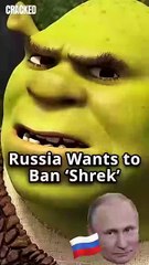 Shrek is a negative character that's indoctrinating children to be poorly behaved...according to