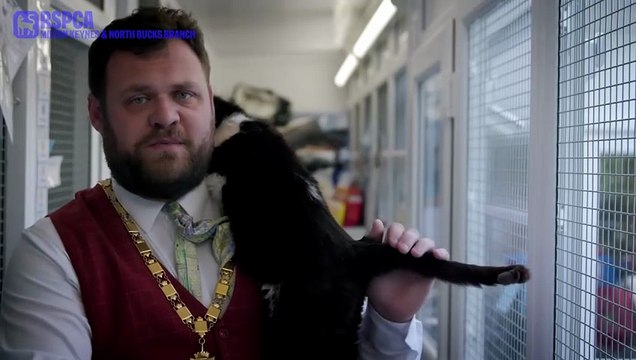 Milton Keynes Mayor falls head over heels in love with cats at city's RSPCA rescue centre
