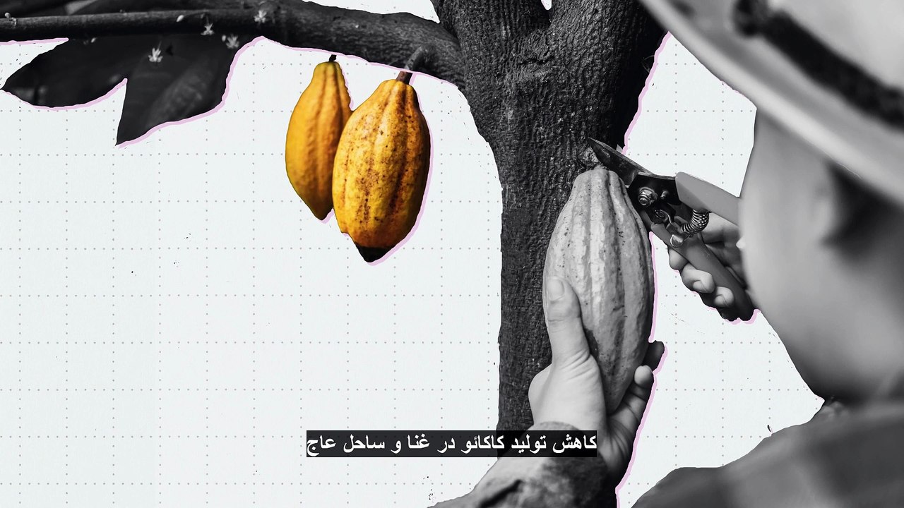 عاشقان شکلات در کدام کشورهای اروپا برای آن بیشتر هزینه می‌کنند؟