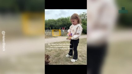 Girl Plants a Jelly Bean and Wakes to a Magical Tree