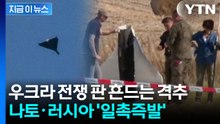러시아 드론 박살 낸 나토...유럽 전면 충돌 신호탄 [지금이뉴스] / YTN