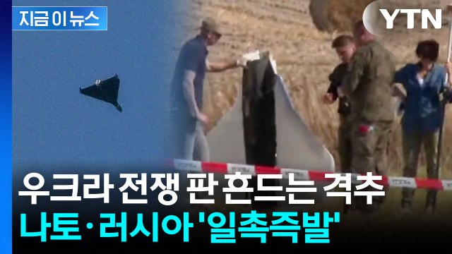 러시아 드론 박살 낸 나토...유럽 전면 충돌 신호탄 [지금이뉴스] / YTN
