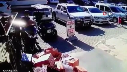 Köpeğiyle kavga eden kediyi tekmeyle metrelerce havaya fırlattı